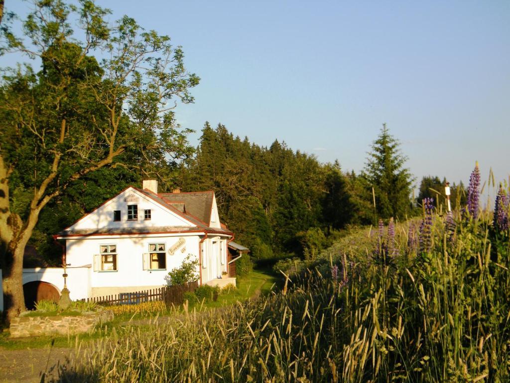 Villa Rainmühle Mariánské Lázně Exterior foto